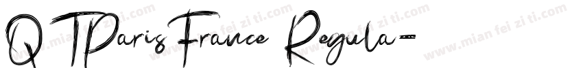 QTParisFrance Regula字体转换